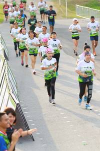 BIB: 
                            <button type="button" onclick="openModal(3541029)" class="btn btn-primary btn-sm float-right btn-popup" data-toggle="modal" data-target=".modal-high-quality">
                        <i class="fas fa-shopping-cart"></i> Add to Cart
                    </button>
                                            <button type="button" onclick="isThisMe(3541029, true)" class="btn btn-success btn-sm float-right btn-popup btn-isme hidden" data-toggle="tooltip" data-placement="bottom" title="นี่คือรูปของคุณใช่ไหม คลิกที่นี่เพื่อเอาเข้าอัลบั้ม">
                        <i class="fas fa-plus"></i> Add to album
                    </button>
                    <button type="button" onclick="isThisMe(3541029, false)" class="btn btn-warning btn-sm float-right btn-popup btn-isnotme hidden">
                        <i class="fas fa-ban"></i> Remove from album
                    </button>